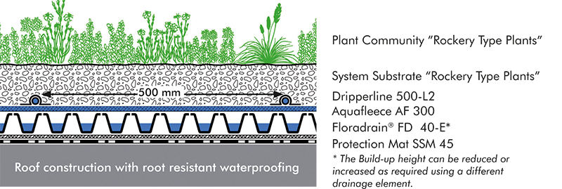 System build-up "Irrigated Extensive Green Roof"